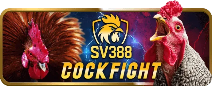 Hướng Dẫn Cá Cược Thể Thao S888